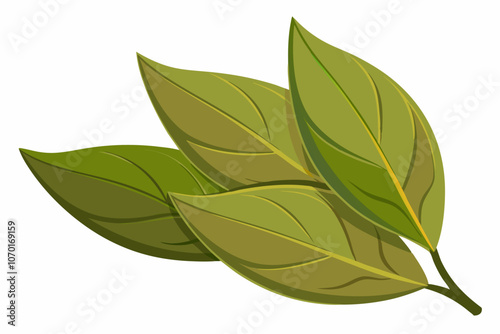 Dried bay leaves isolated on a white background