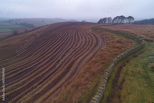 Rolling hillside landscape with winding stone wall on a misty day