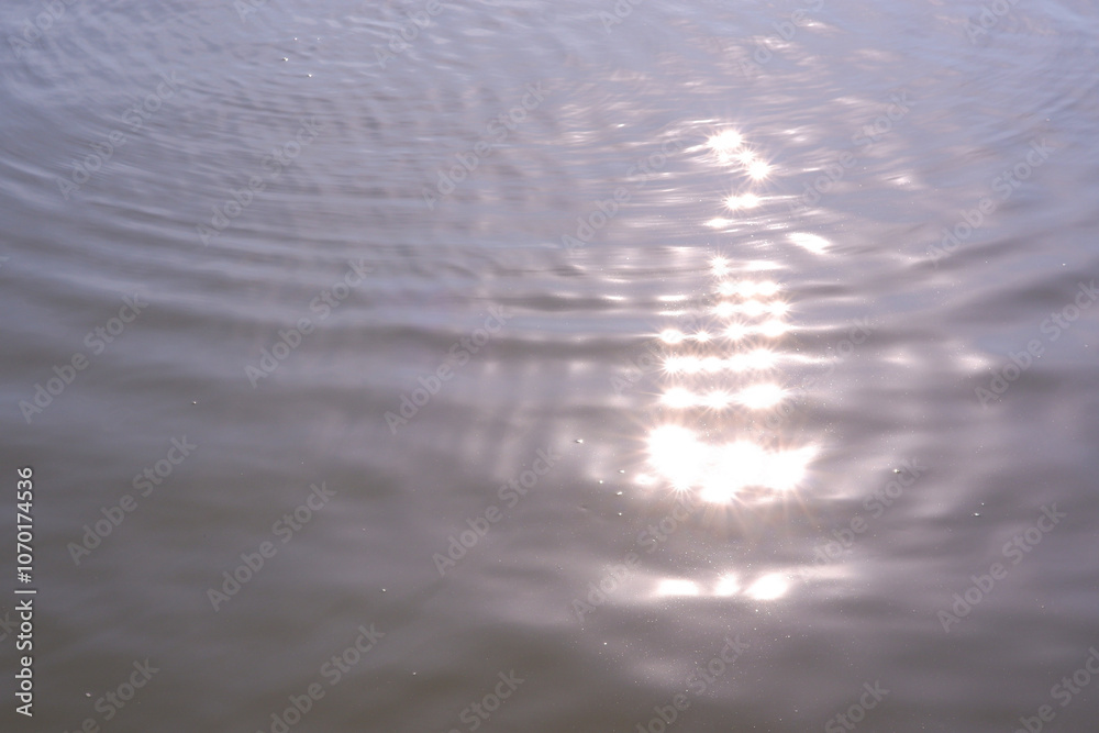 Nile tilapia, silver barb in natural ponds Nile tilapia, silver barb in natural ponds