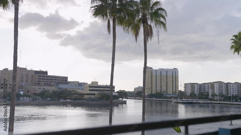 tampa bay