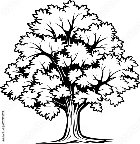 Sycamore Tree Icon in Black Silhouette Vector Style