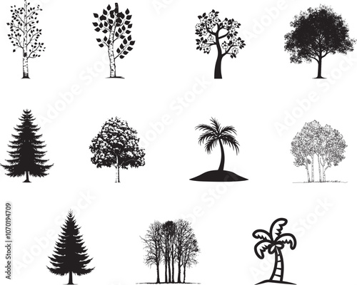 Vector Icon Set of 11 Tree Silhouettes - Aspen, Cherry, Sycamore, Fir, Elm, Palm in Black