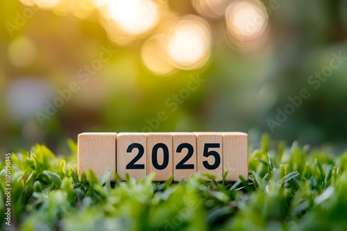 Wooden Blocks Spelling 2025 in Grass with a Bokeh Background