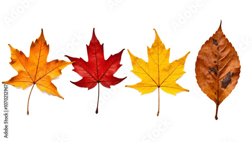 Vibrant Autumn Leaves Collection: Seasonal Colors for Nature-Inspired Design and Fall Marketing Campaigns