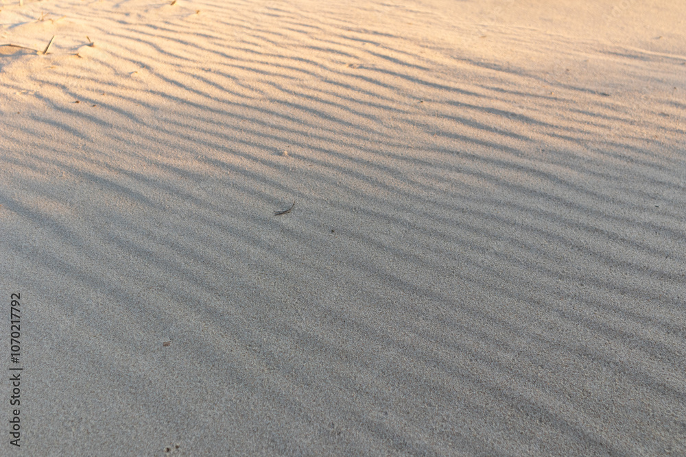 Close-Up Sand Texture in Natural Soft Light, Showing Fine Grains and Organic Patterns Close-Up Sand Texture in Natural Soft Light, Showing Fine Grains and Organic Patterns