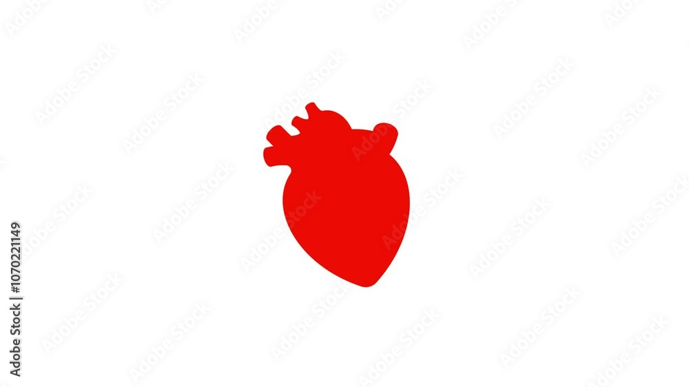 A beating red heart on a white background. Simple looped silhouette animation A beating red heart on a white background. Simple looped silhouette animation