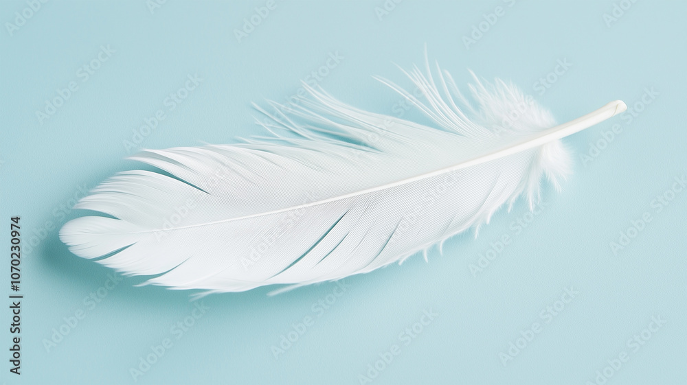 Obraz premium 浮遊する白い羽根