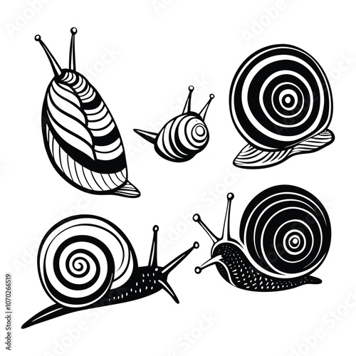 vector snail isolated on white background