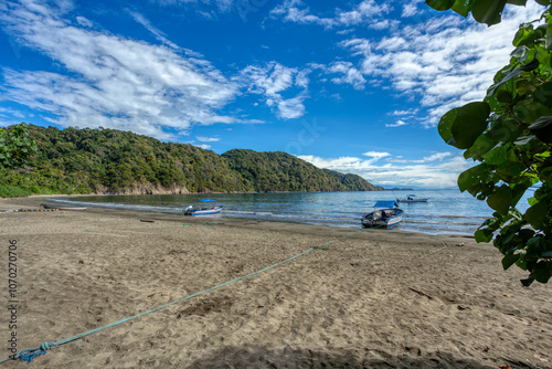 Playa in Curu Wildlife Reserve, Costa Rica wildlife. photo