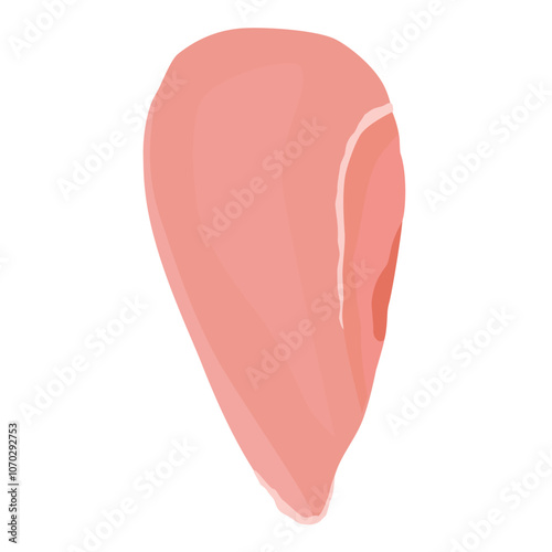 Raw chicken breast or chicken fillet isolated on white background