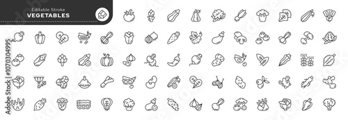 Vegetables and veggies line icon set. Natural fresh vegetables and root vegetables. Vegetarian food. Series outline icons. Vector pictogram collection.