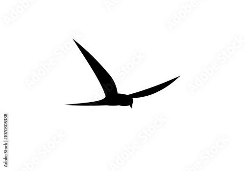 flying bird icon logo template design vector illustration