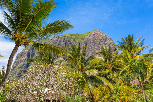 Wallpaper Mural Le Morne Brabant, île Maurice  Torontodigital.ca