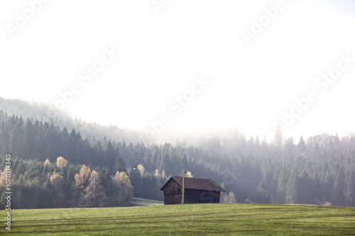 Allgäuer Herbst Nebellandschaft Allgäu Nebel 