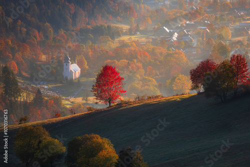 Beautiful autumn with red trees under the Tatra Mountains at sunrise. Slovakia