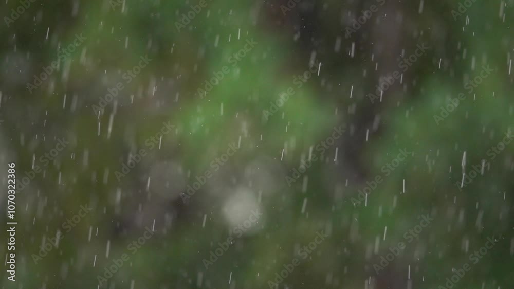 A rainy day with raindrops falling on a green tree