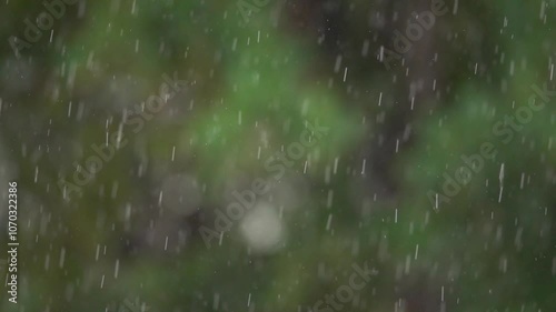 A rainy day with raindrops falling on a green tree