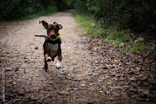 Corro libero photo