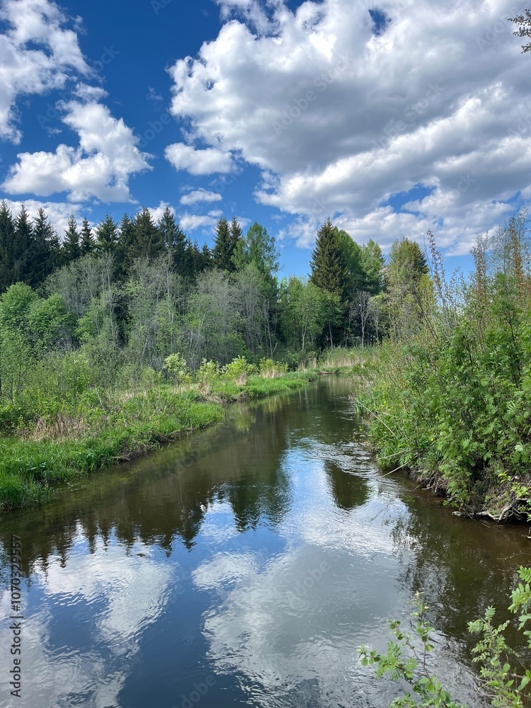 Forest. River. Forest. River.