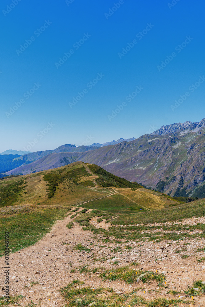 Fototapeta premium mountain road in the mountains