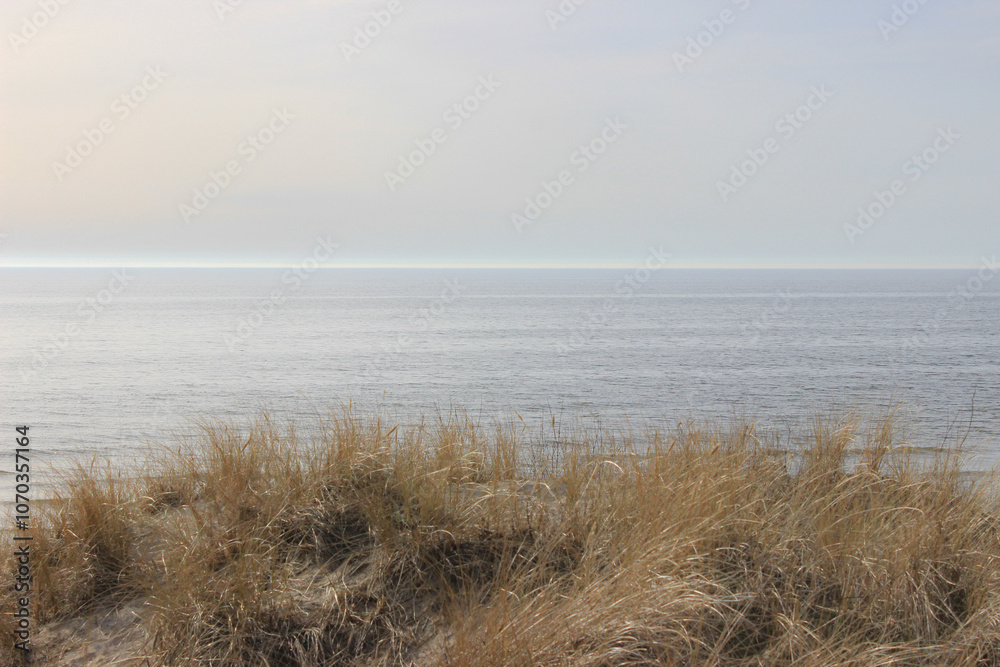 Morning on the beach