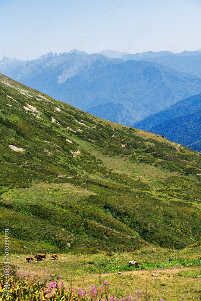 Fototapeta premium mountain landscape