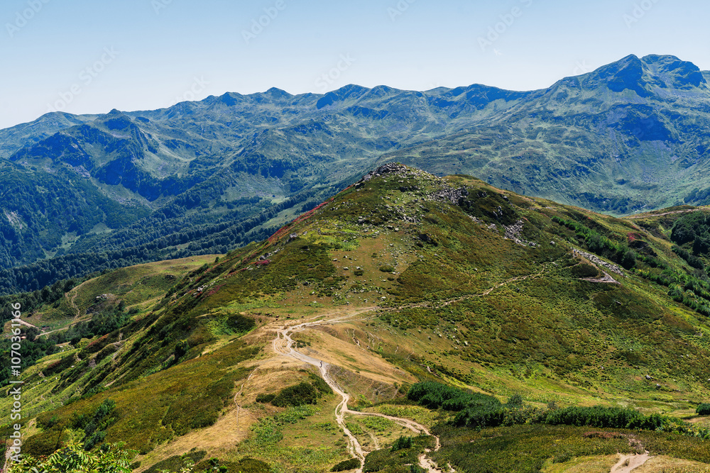 Naklejka premium landscape with mountains