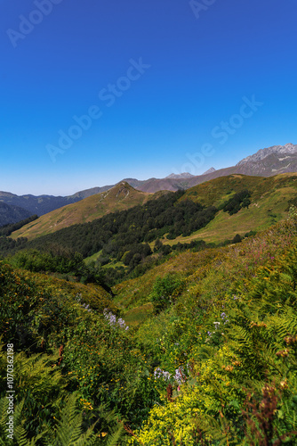 landscape with mountains and sky