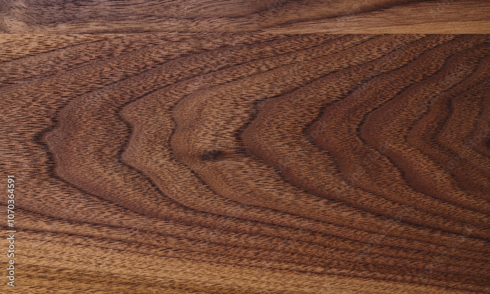 Naklejka premium Real black walnut wood texture with natural grain