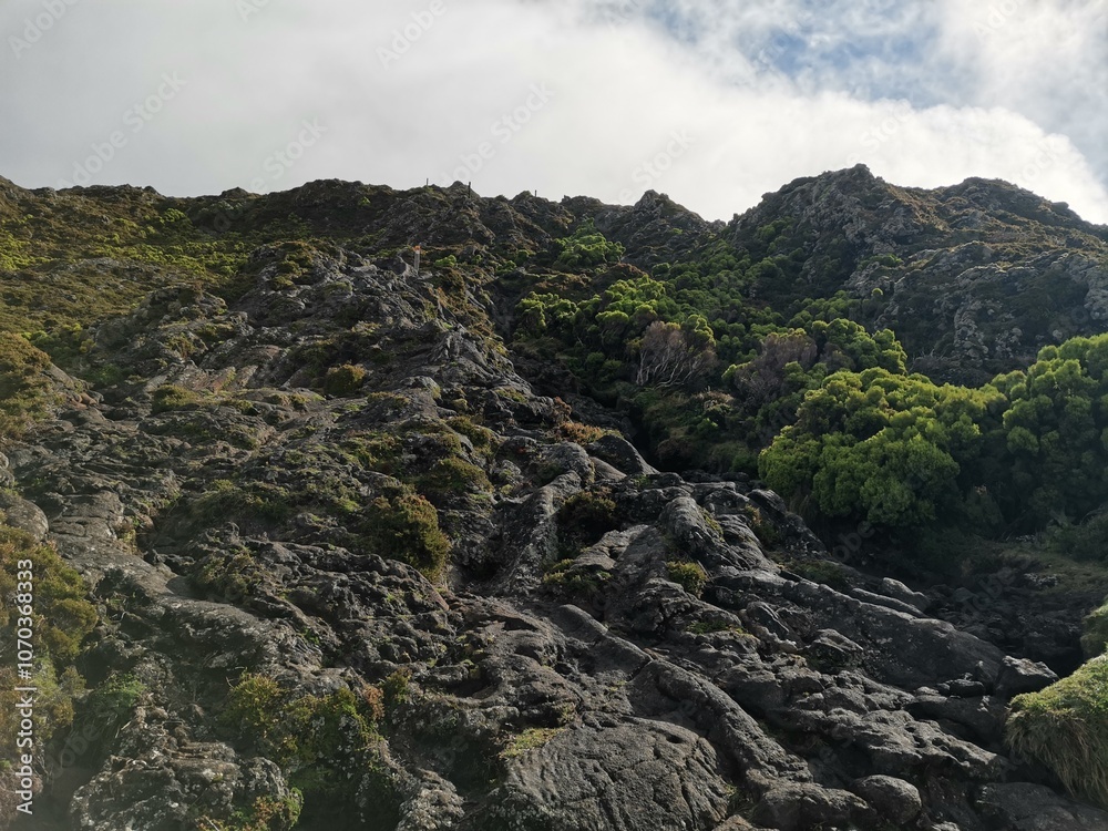 Obraz premium lava fields on the way up