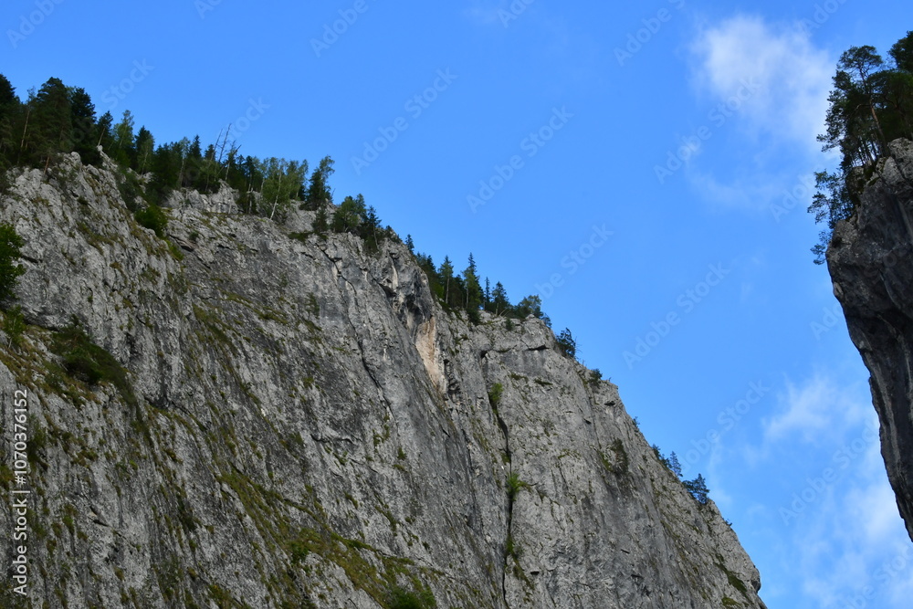 tree on top of mountain tree on top of mountain