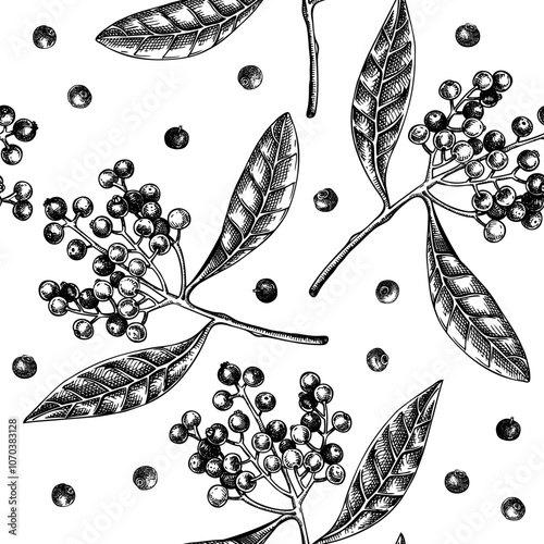 Allspice seamless pattern Kitchen spice sketches. Mexican herb and spice background. Hand-drawn vector illustration. NOT AI generated