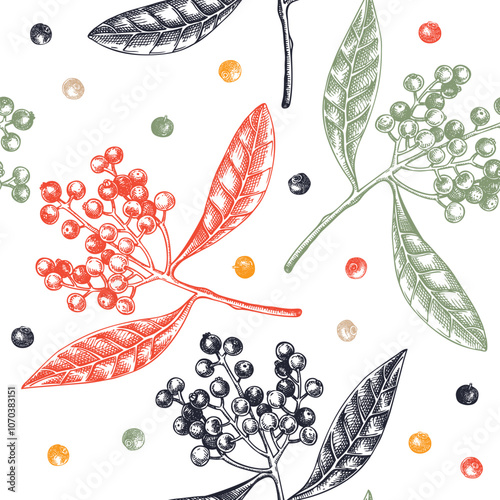 Allspice seamless pattern Kitchen spice sketches. Mexican herb and spice background. Hand-drawn vector illustration. NOT AI generated