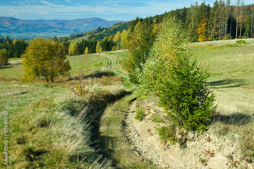 Fototapeta Naklejka Na Ścianę i Meble -  jesienny krajobraz w Beskidach  Istebna