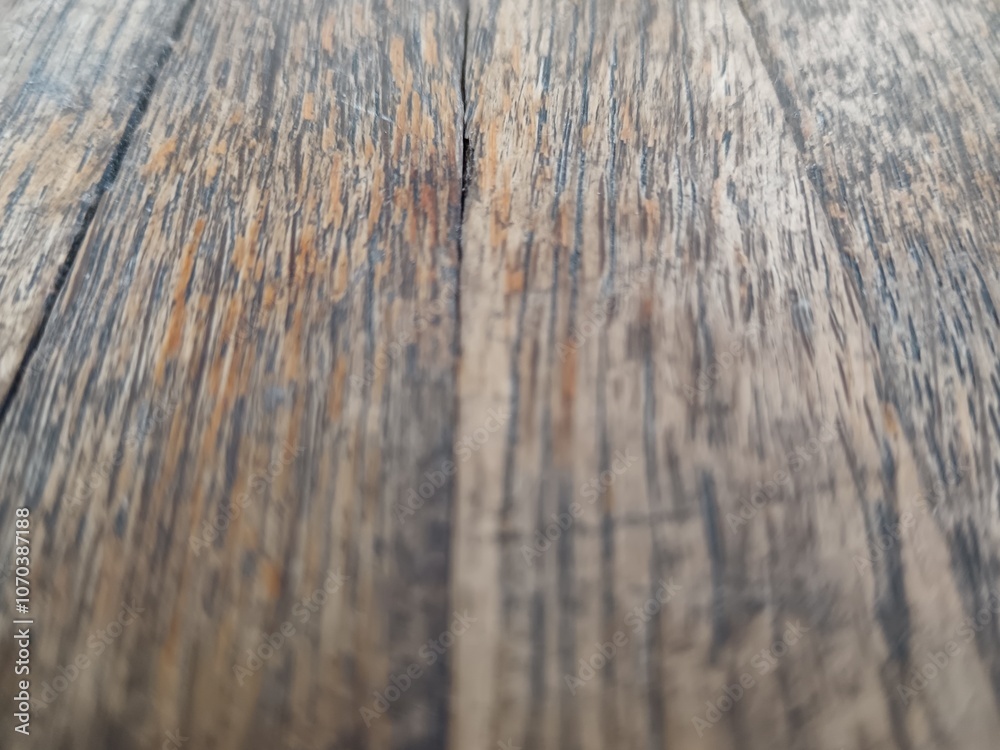 Fototapeta premium Wood 