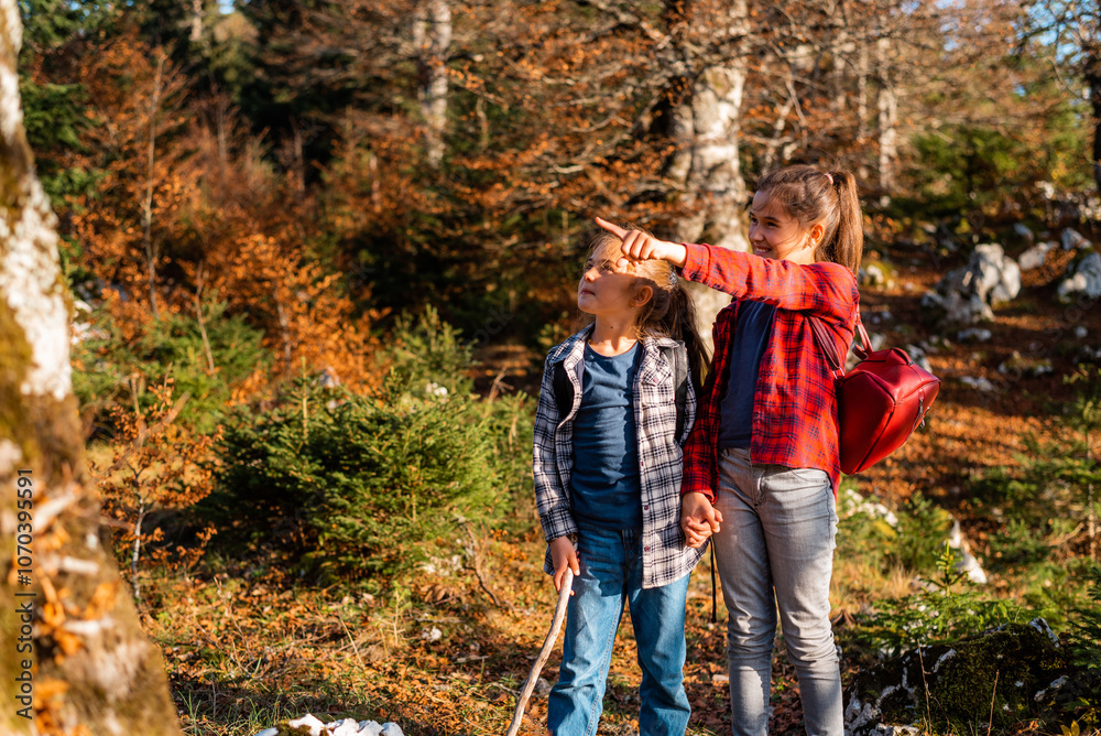 Happy children walking in the autumn forest during the hike, family adventure travel. Happy children walking in the autumn forest during the hike, family adventure travel.