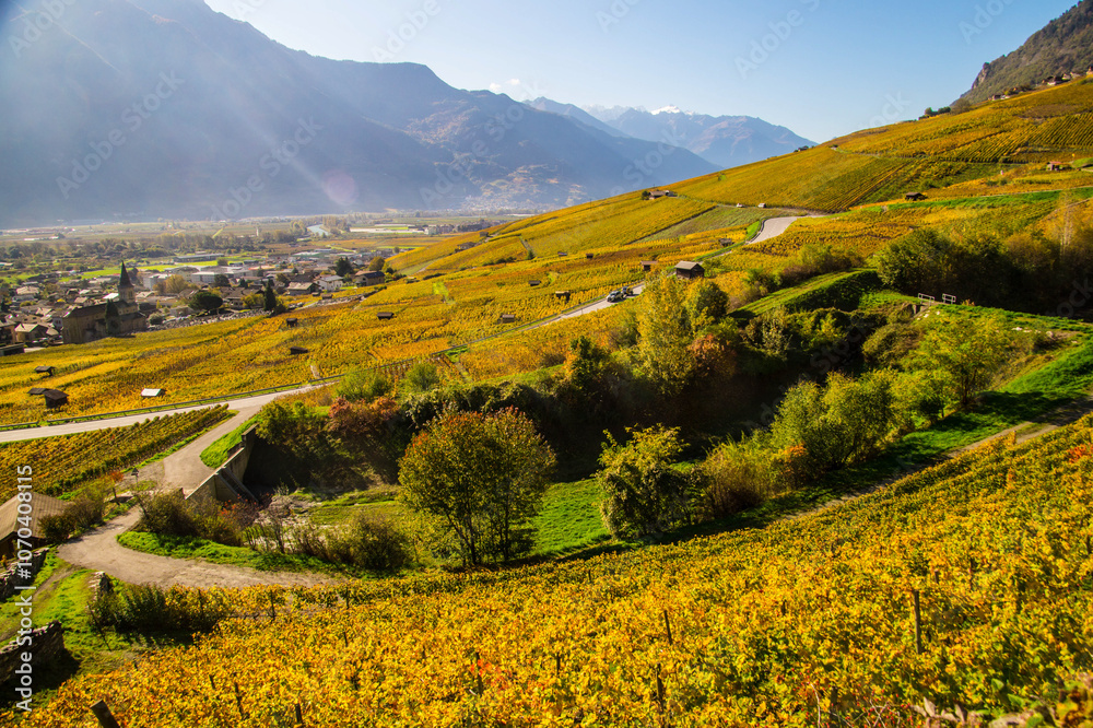 Obraz premium Swiss Alps vineyard in autumn