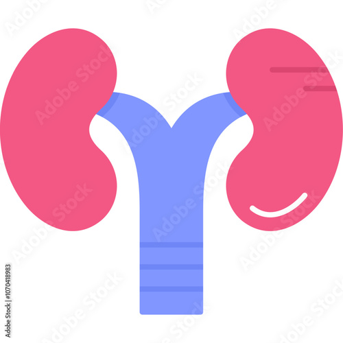 Kidneys Icon
