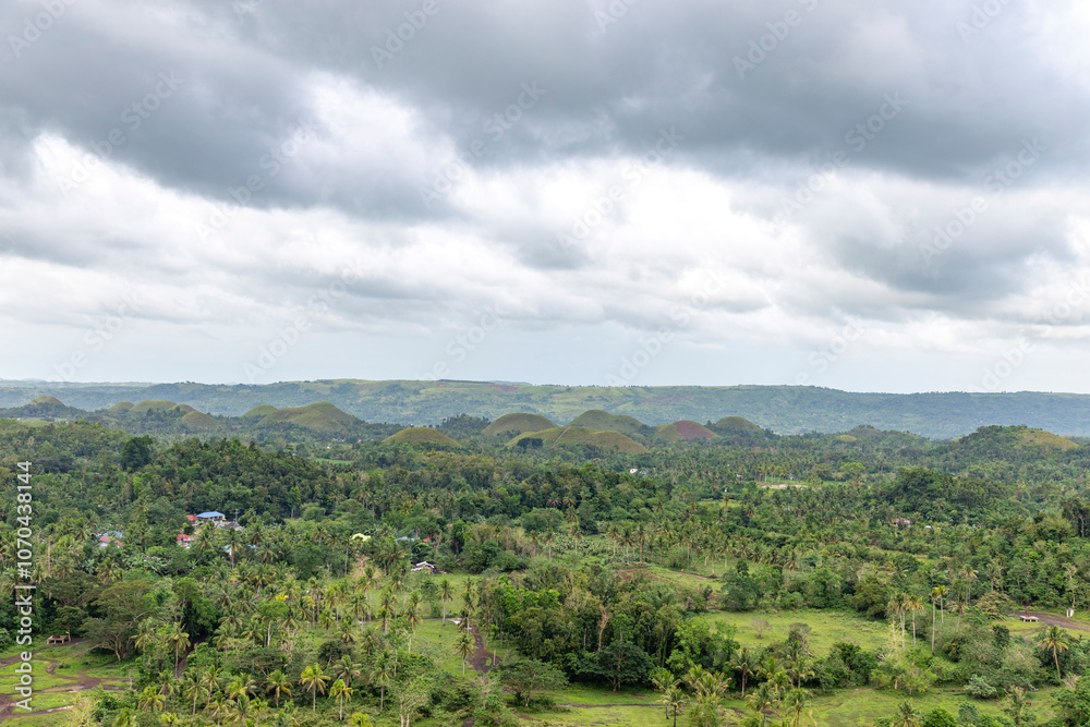 Fototapeta premium Chocolate hills in Bohol. Bohol island, Philippines 