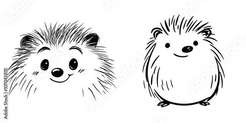 Hand drawn hedgehog illustration