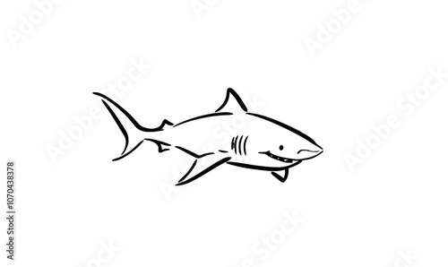 The image features a shark line theme against a white background. The base is modern.