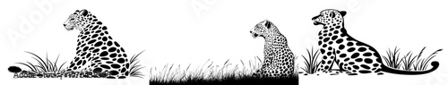 The Leopard - High Quality Modern Logo - Ideal for T-shirt graphics photo