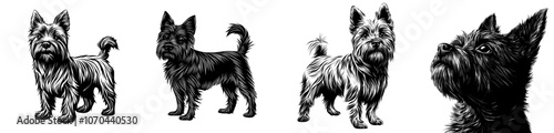 Black and white retro styled silhouette of a Cairn Terrier