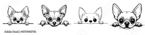 A modern illustration of a chihuahua dog gazing over its front paws