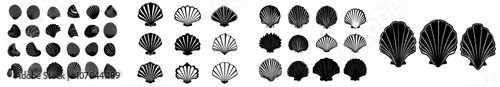 Shell silhouettes collection in flat style on white background. Seashell shapes isolated from the background.