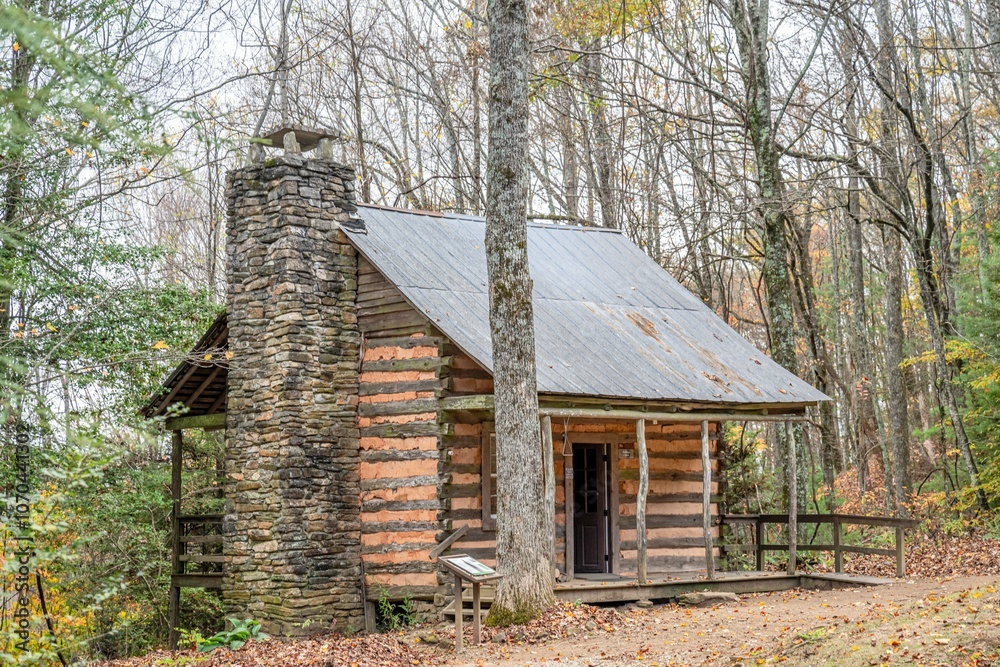 Obraz premium old cabin