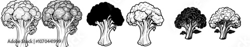 An illustration of broccoli drawn by hand with a vintage engraving style