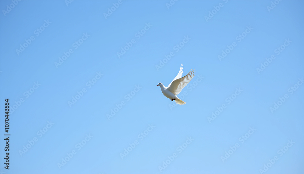 A white dove gracefully soars through a clear blue sky on a sunny day, embodying peace and freedom A white dove gracefully soars through a clear blue sky on a sunny day, embodying peace and freedom