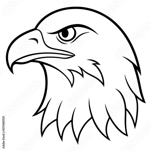 eagle head vector illustration