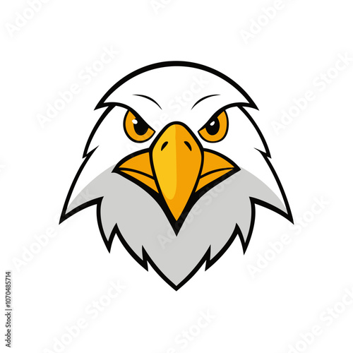 american bald eagle